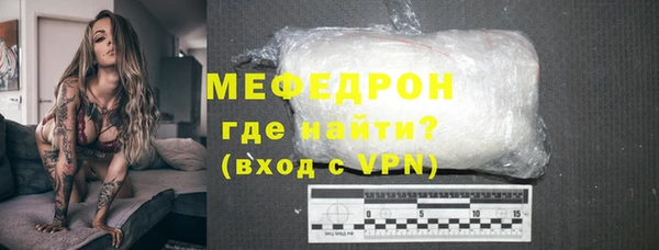 дмт Богданович