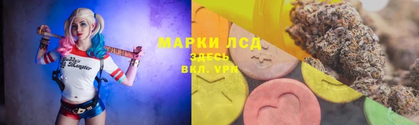 дживик Богородицк
