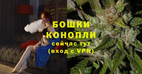 дживик Богородицк