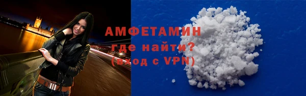 дмт Богданович