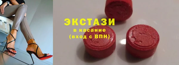 дживик Богородицк