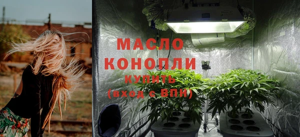 дмт Богданович