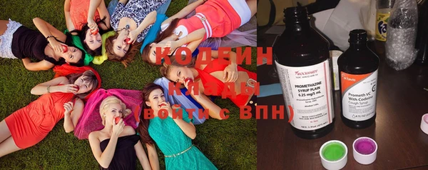 дживик Богородицк