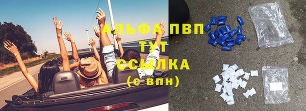 дживик Богородицк