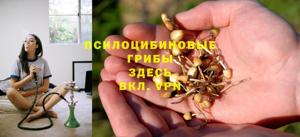 дмт Богданович