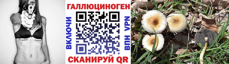 Псилоцибиновые грибы Psilocybine cubensis  наркотики  kraken ССЫЛКА  Можга 